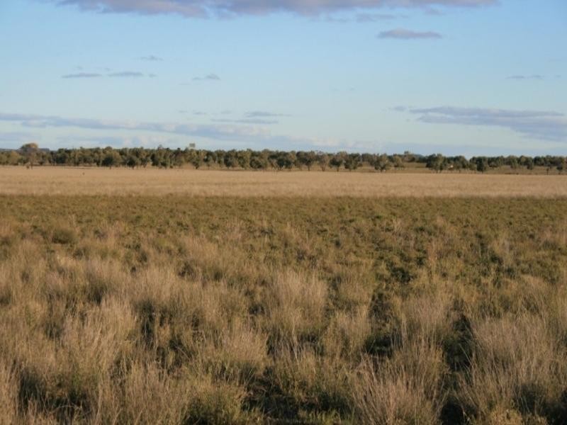 Augathella QLD 4477