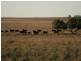 Augathella QLD 4477