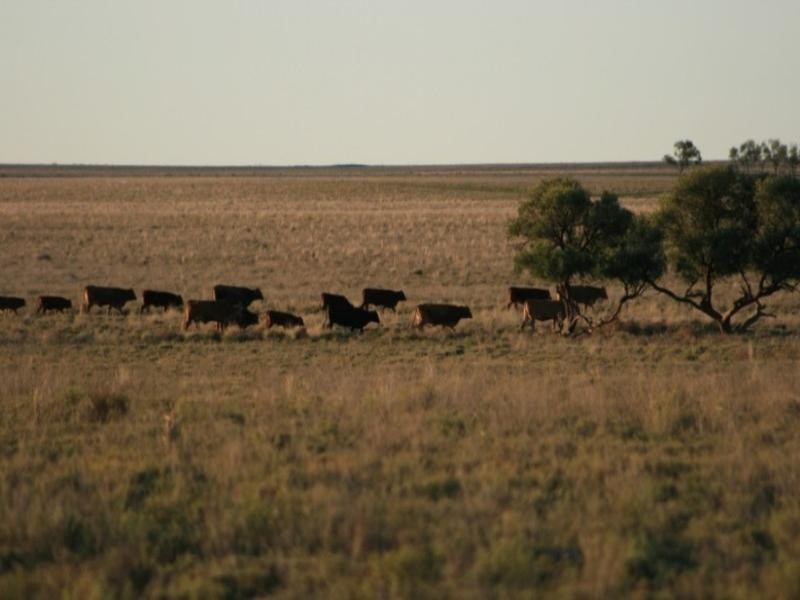 Augathella QLD 4477
