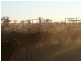 Mount Isa QLD 4825
