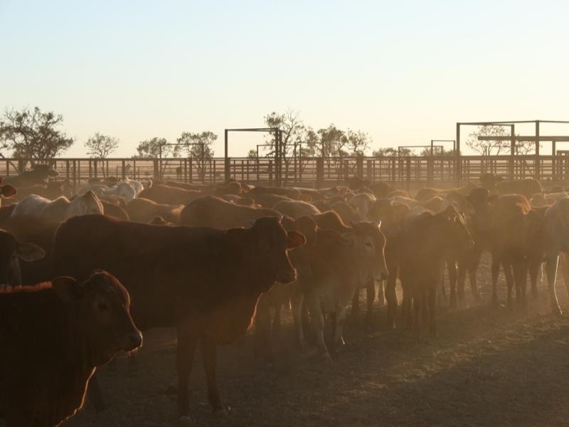 Mount Isa QLD 4825