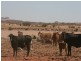 Mount Isa QLD 4825