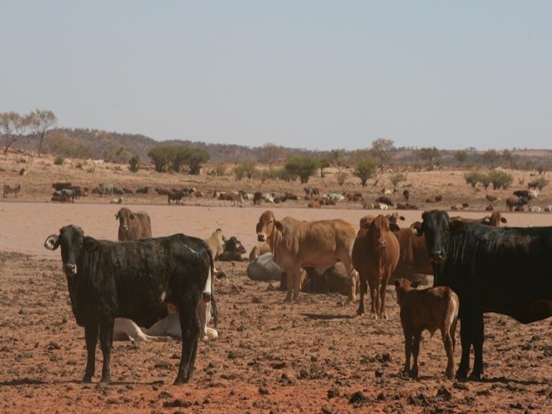 Mount Isa QLD 4825