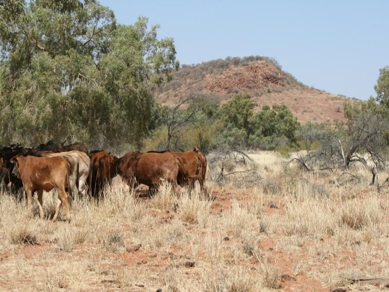 Mount Isa QLD 4825