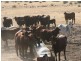 Boulia QLD 4829