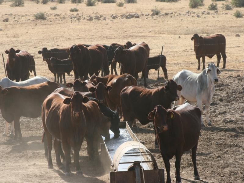 Boulia QLD 4829