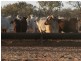 Boulia QLD 4829