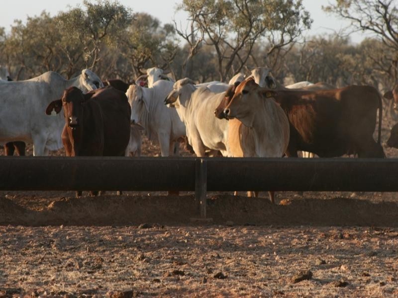 Boulia QLD 4829