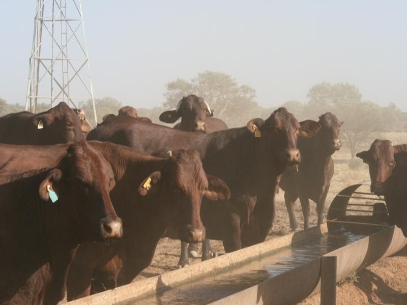 Boulia QLD 4829