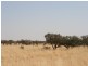 Boulia QLD 4829