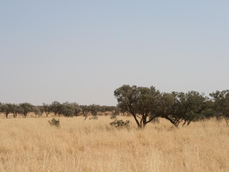 Boulia QLD 4829