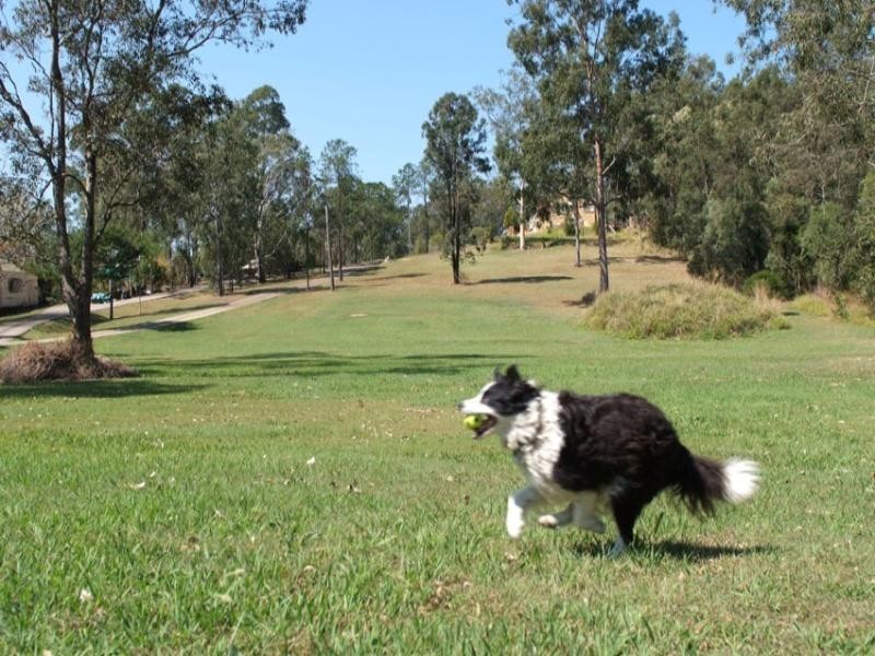 48 & 50 Church Street, Goodna QLD 4300