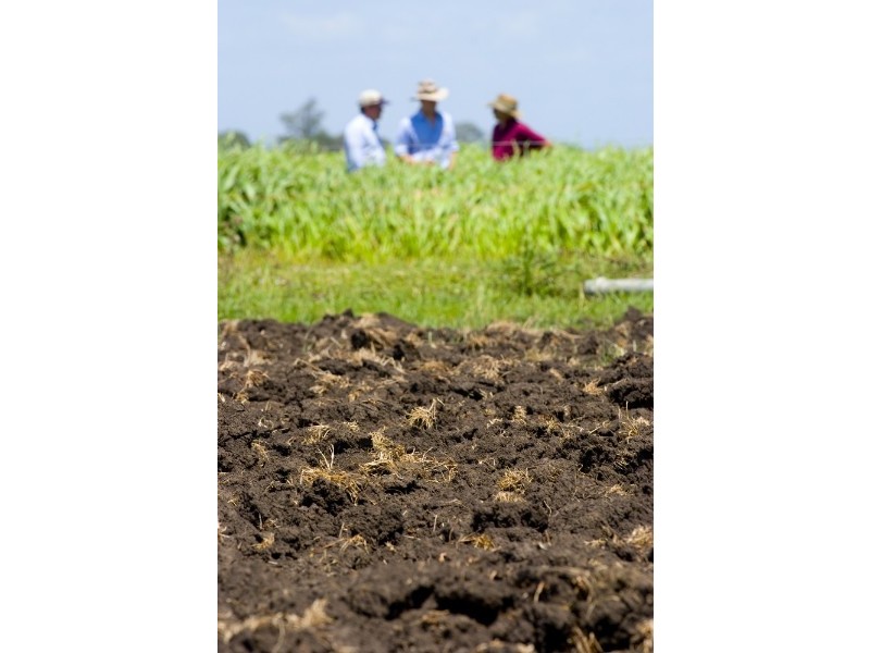 256 Rifle Range Road, Lowood QLD 4311