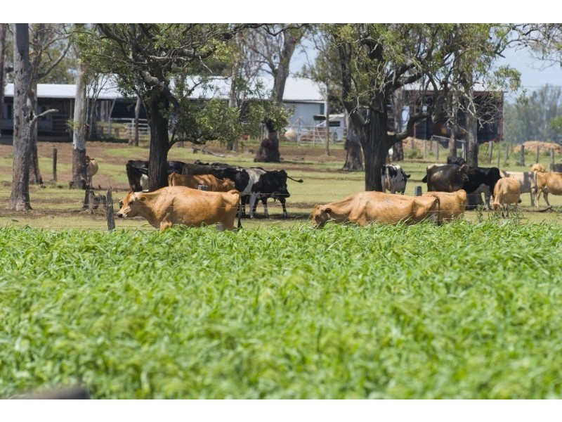 256 Rifle Range Road, Lowood QLD 4311