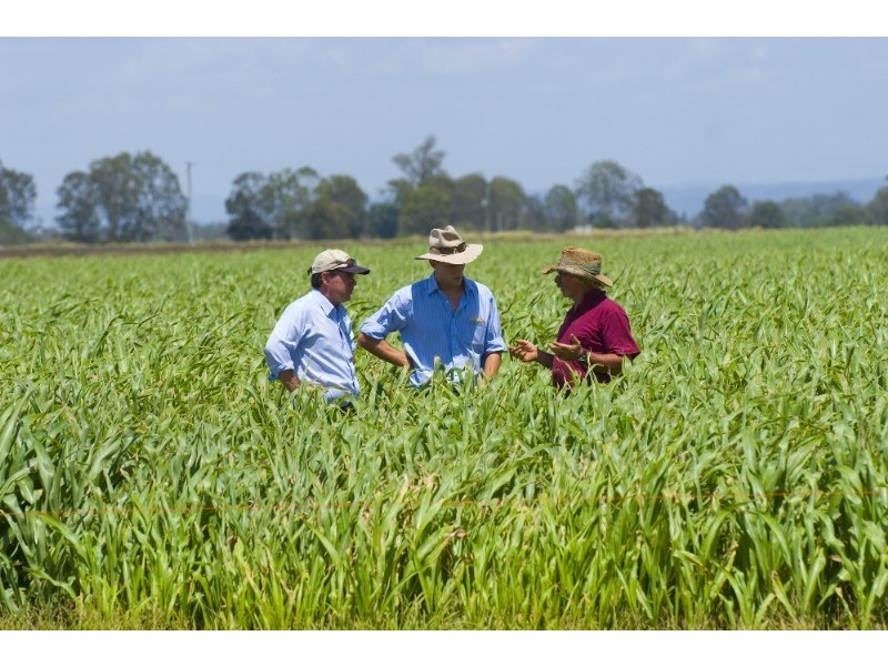 256 Rifle Range Road, Lowood QLD 4311