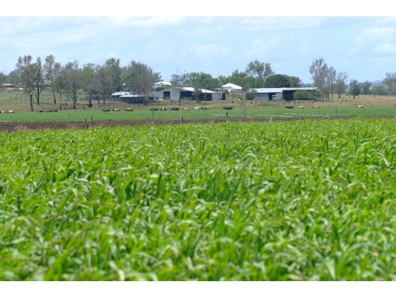 256 Rifle Range Road, Lowood QLD 4311