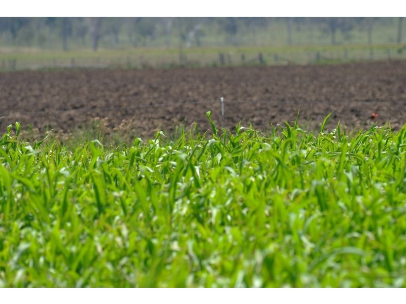 256 Rifle Range Road, Lowood QLD 4311