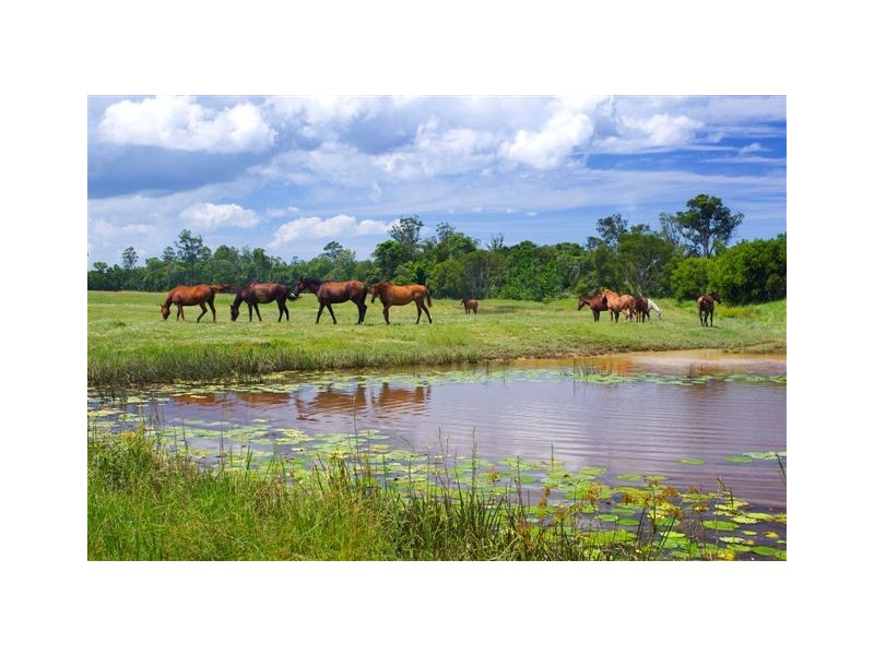 219 Lake Macdonald Drive, Cooroy QLD 4563