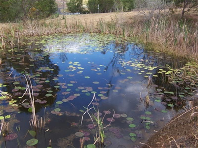 Lot 1 Mimburi Place, Armstrong Creek QLD 4520