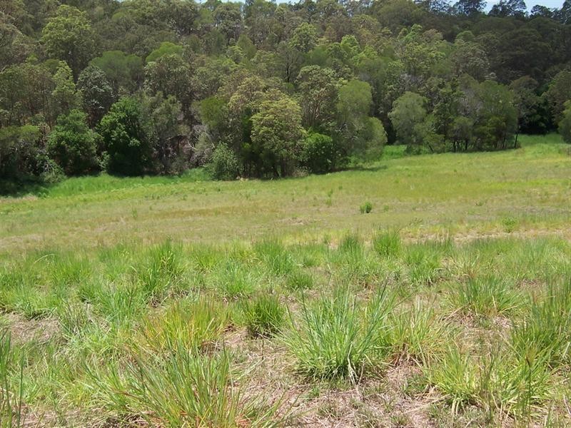 Lot 1 Mimburi Place, Armstrong Creek QLD 4520