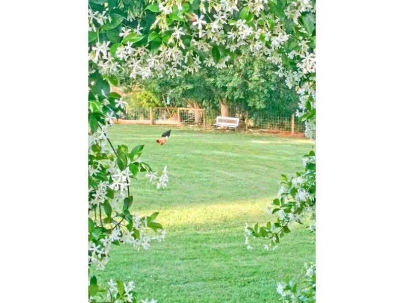 Clear Mountain QLD 4500