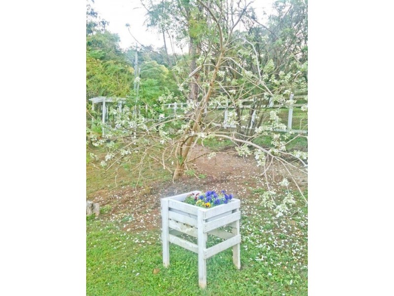 Clear Mountain QLD 4500