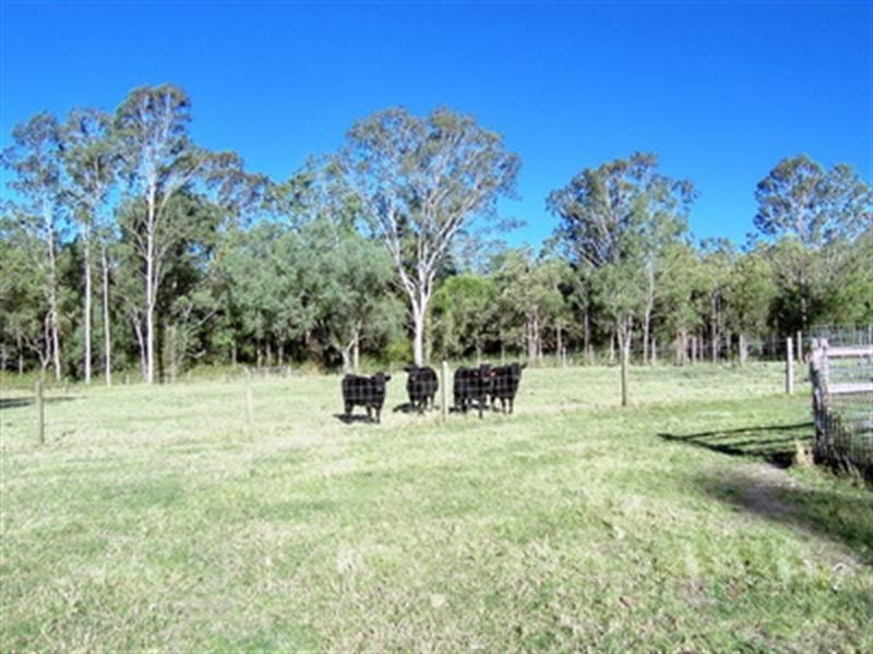 206 Mount Glorious Road, Samford Valley QLD 4520