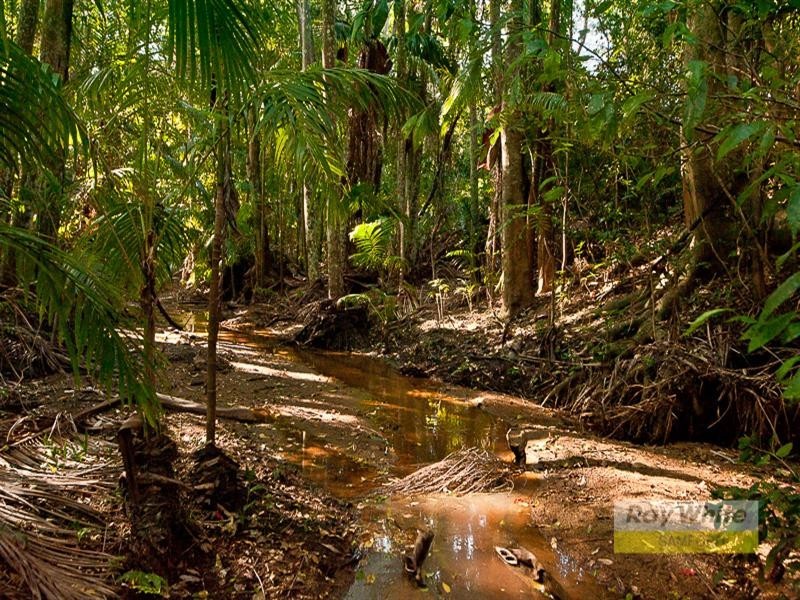 Lot 202 Rive Court, Wights Mountain QLD 4520