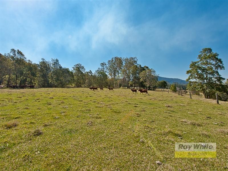 Lot 202 Rive Court, Wights Mountain QLD 4520