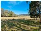 Lot 202 Rive Court, Wights Mountain QLD 4520