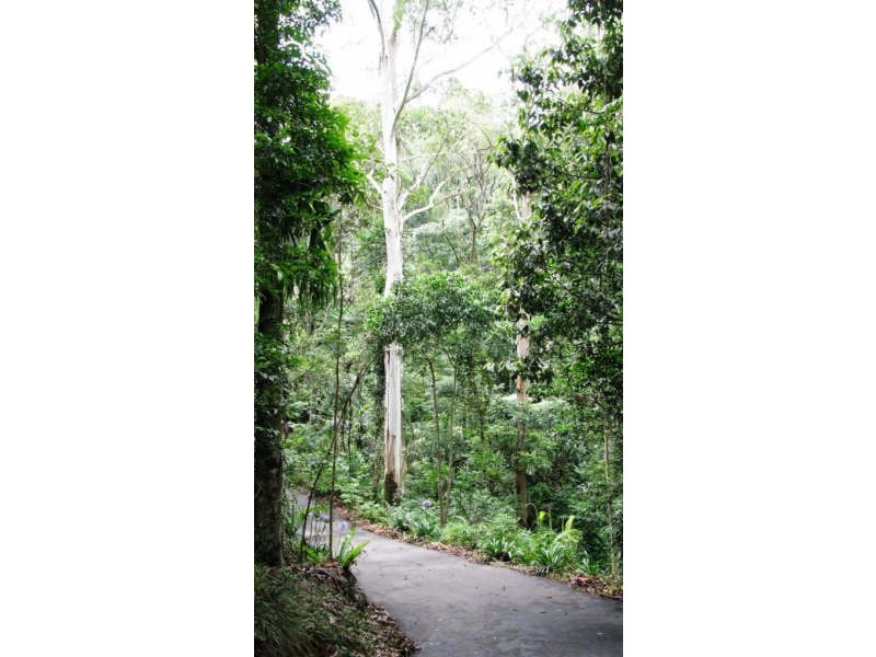 Mount Glorious QLD 4520