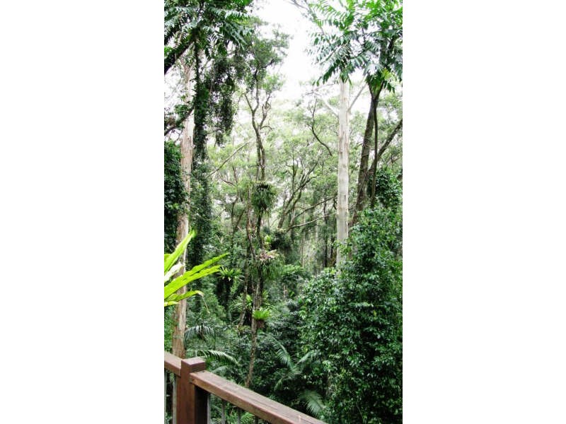 Mount Glorious QLD 4520