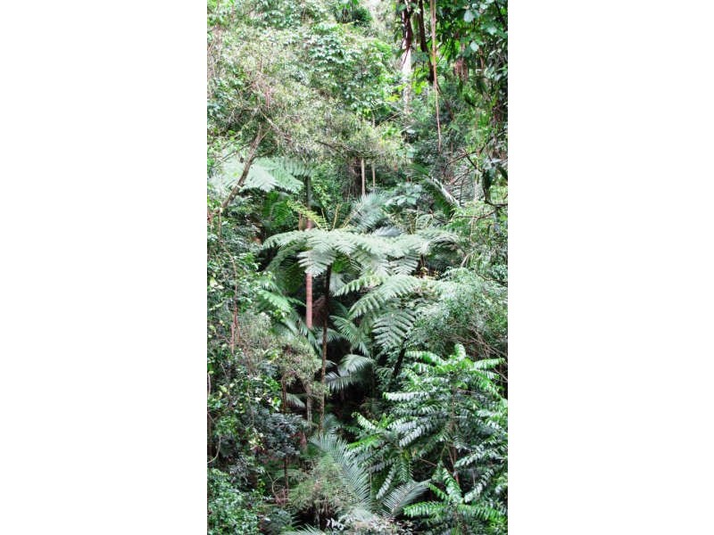 Mount Glorious QLD 4520