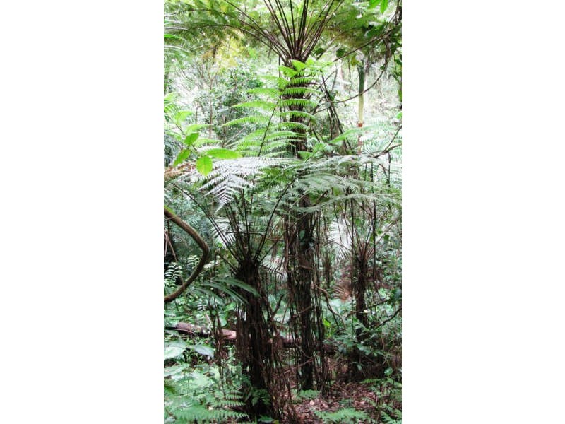 Mount Glorious QLD 4520