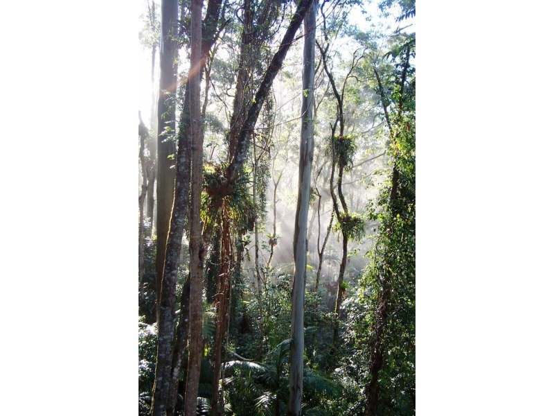 Mount Glorious QLD 4520