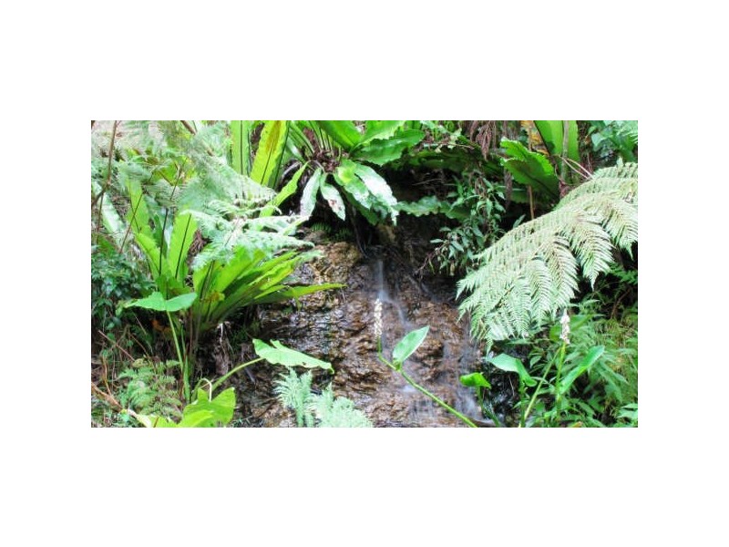 Mount Glorious QLD 4520