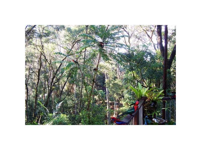 Mount Glorious QLD 4520