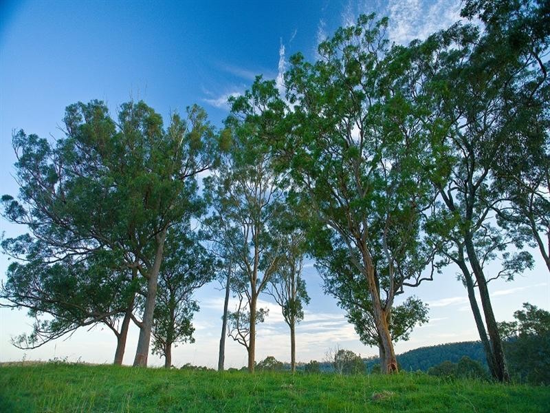 Clear Mountain QLD 4500