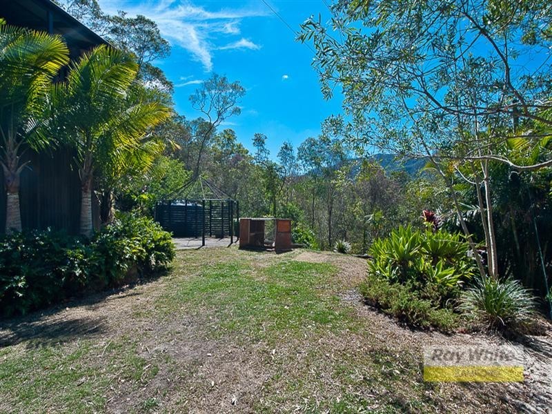 703 Cedar Creek Road, Cedar Creek QLD 4520