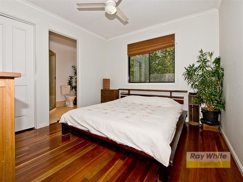 703 Cedar Creek Road, Cedar Creek QLD 4520