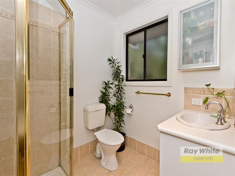 703 Cedar Creek Road, Cedar Creek QLD 4520