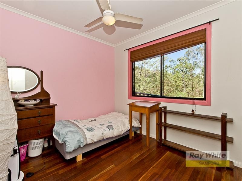 703 Cedar Creek Road, Cedar Creek QLD 4520