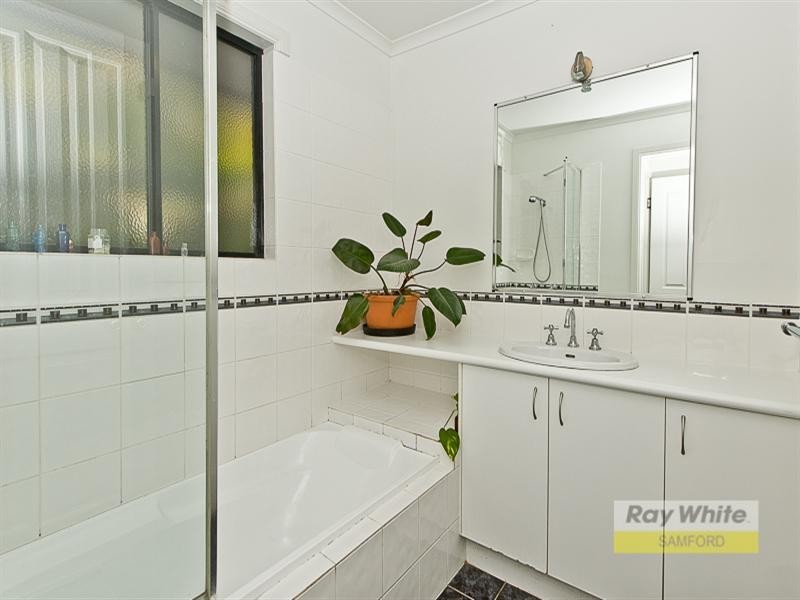 703 Cedar Creek Road, Cedar Creek QLD 4520