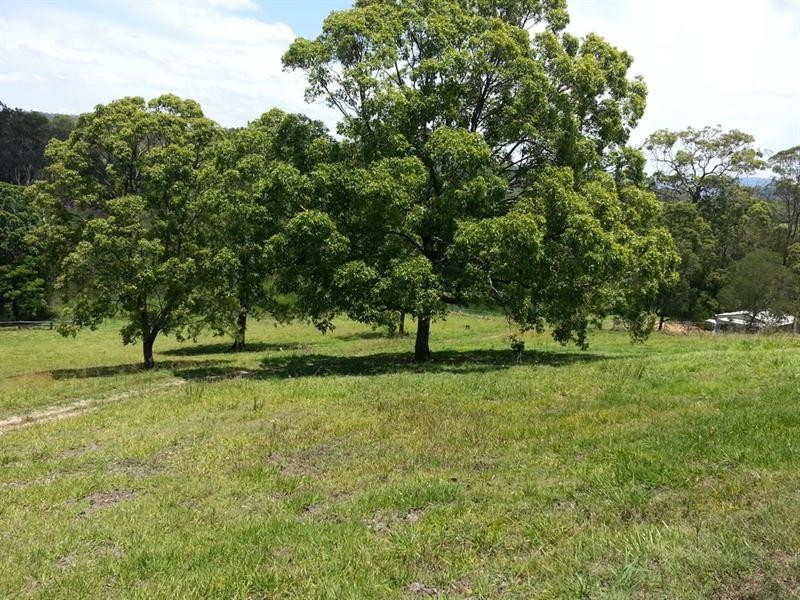 803 Bunya Road, Draper QLD 4520