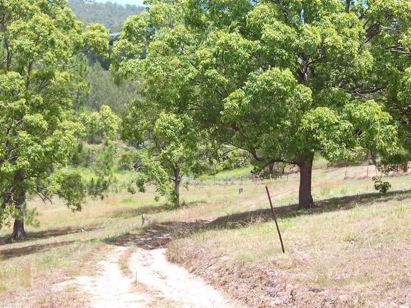 803 Bunya Road, Draper QLD 4520