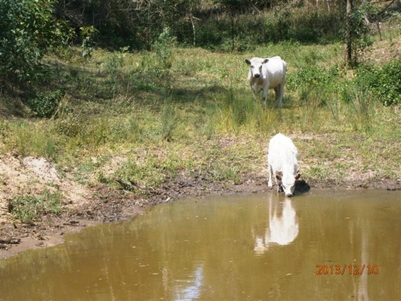 Kobble Creek QLD 4520
