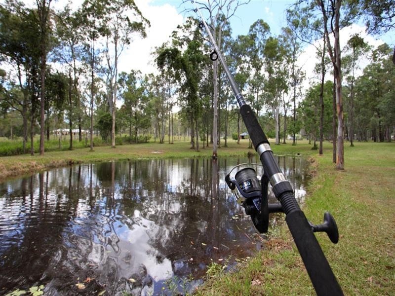 34 Davison Road, Camp Mountain QLD 4520