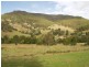Cedar Creek QLD 4520