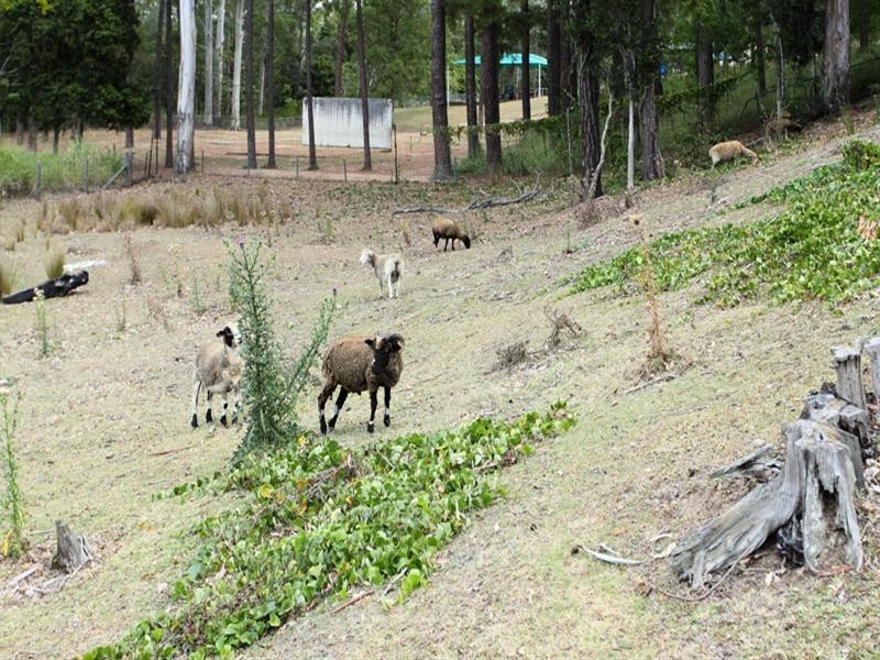 24 Trentham Place, Samford Village QLD 4520