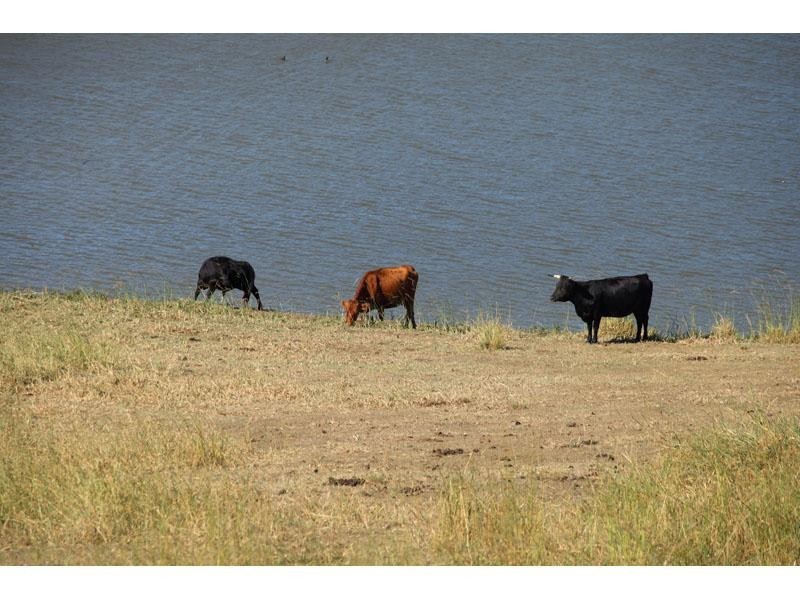 164 Hills Road, Mount Samson QLD 4520